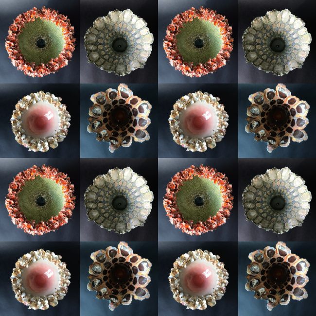 Keramiek kunst. Patroon uit bovenaanzichten schaalvormen. Aardewerk, binnenkant bewerkt met engobes, glazuren en glazuurpotlood.